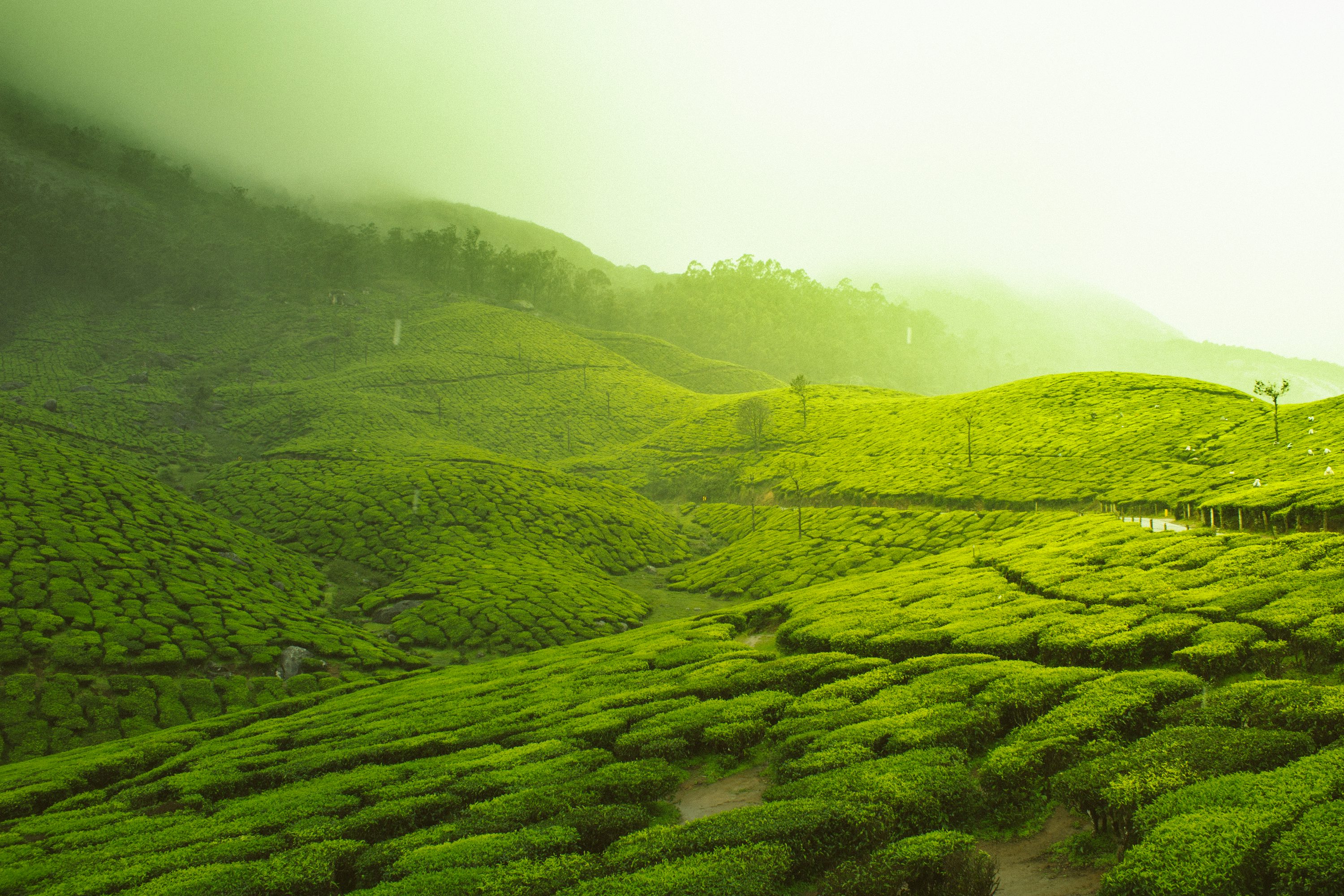 Ooty Weekend – 2N/3D