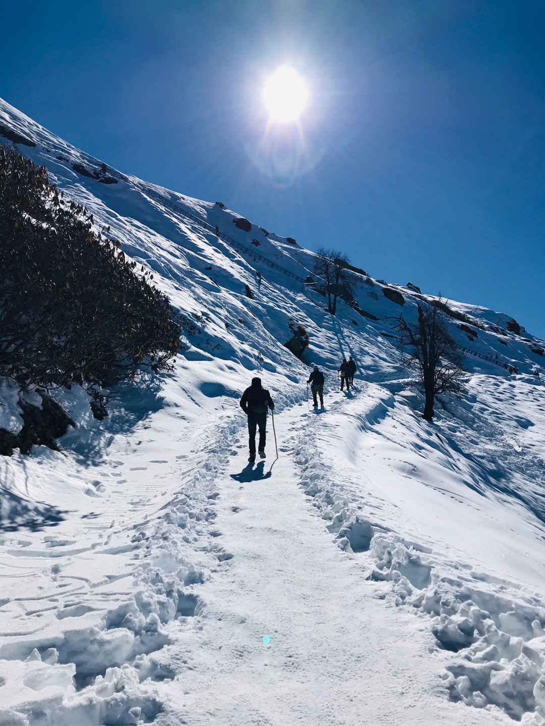 Day 3: Chopta – Delhi/Haridwar (Drive Back)