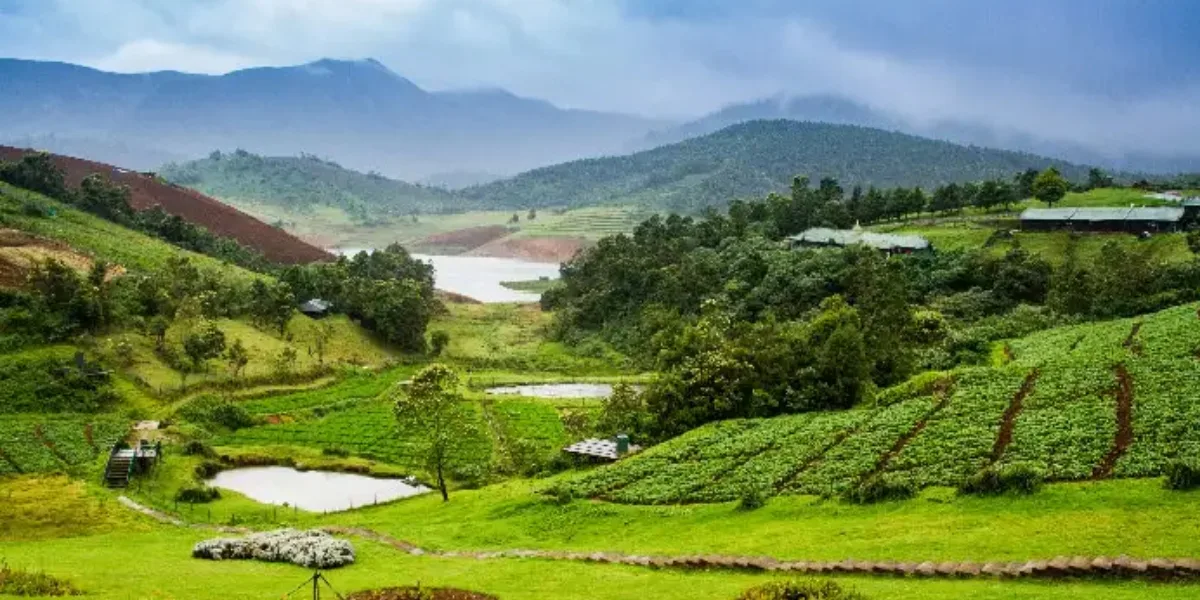 lush botanical gardens and misty Nilgiri hills in Ooty