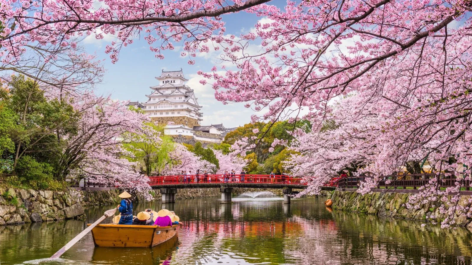 Japan’s Blossoms Came Early- Plan Before It’s Late