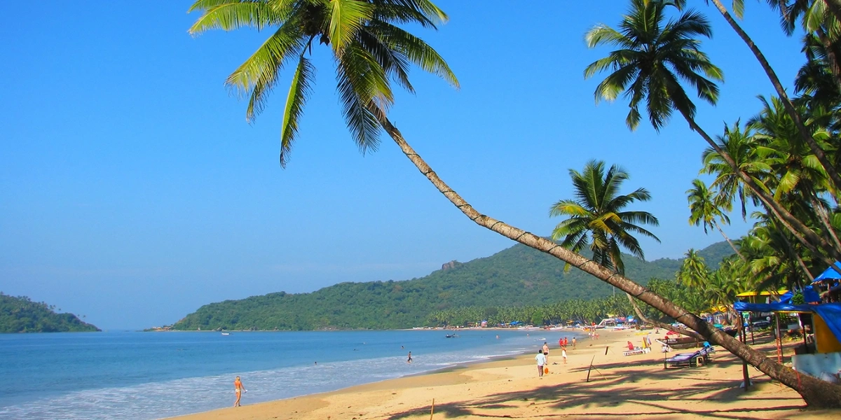 Sunny coastline of Goa in April with palm trees and blue sky