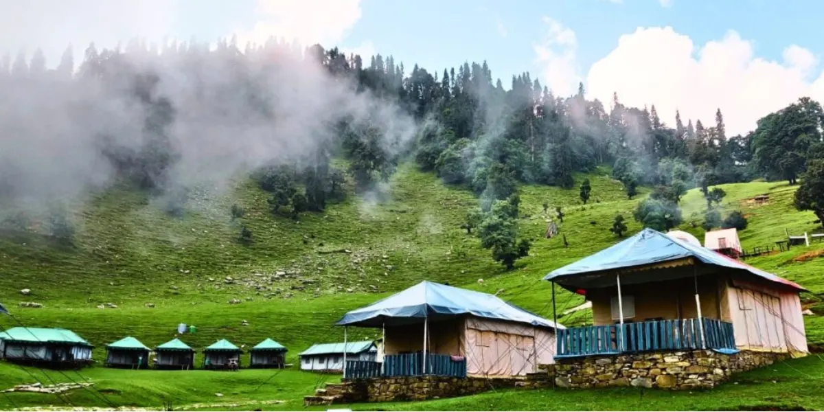 Misty Monsoon in Chopta Mist-covered forests of Chopta during monsoon season