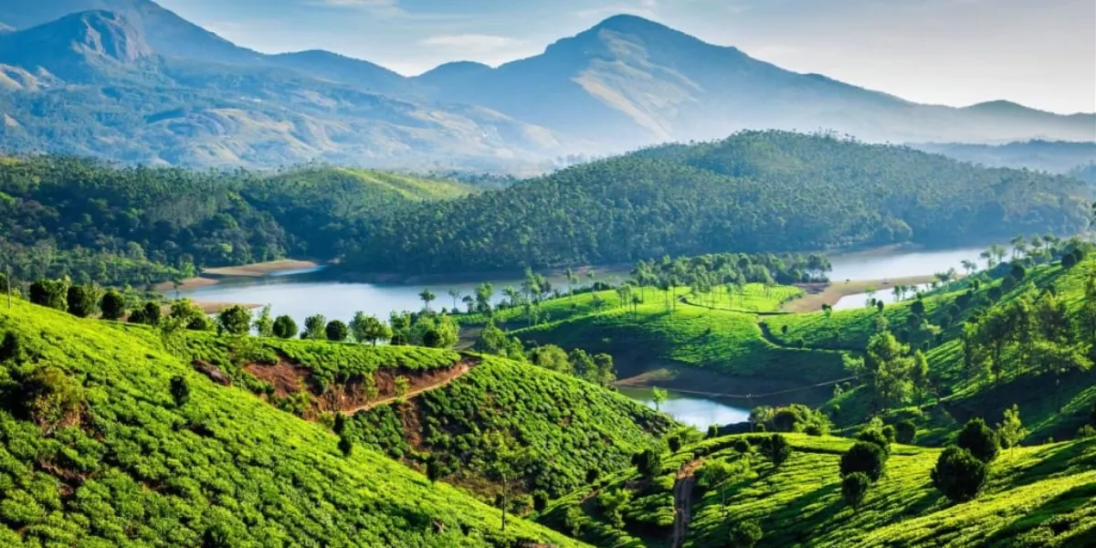 Rolling tea plantations in Munnar with misty hills