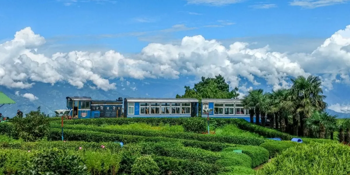 Darjeeling toy train passing through misty tea gardens