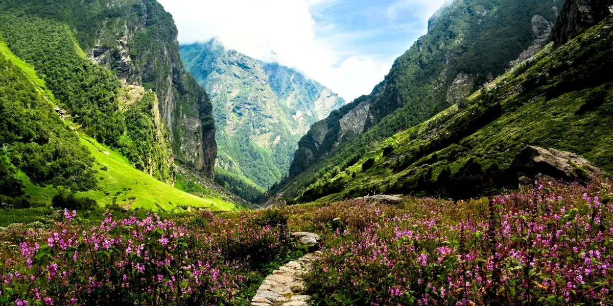 Best Time to Visit Valley of Flowers Bloom Valley of Flowers in full bloom during monsoon with colourful flowers and lush greenery