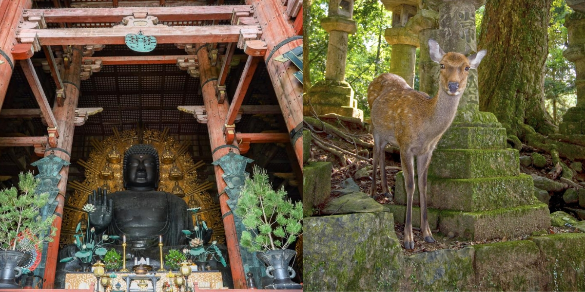 Best for: Ancient History · Wildlife · Relaxed Pace