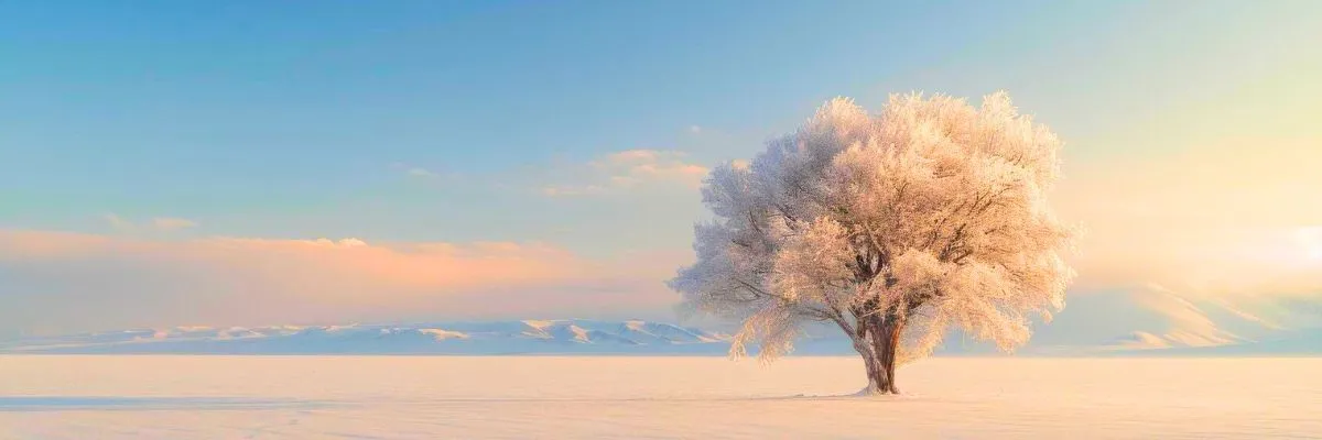 Frost covered trees under Arctic sky in Yakutsk Frost covered trees under Arctic sky in Yakutsk